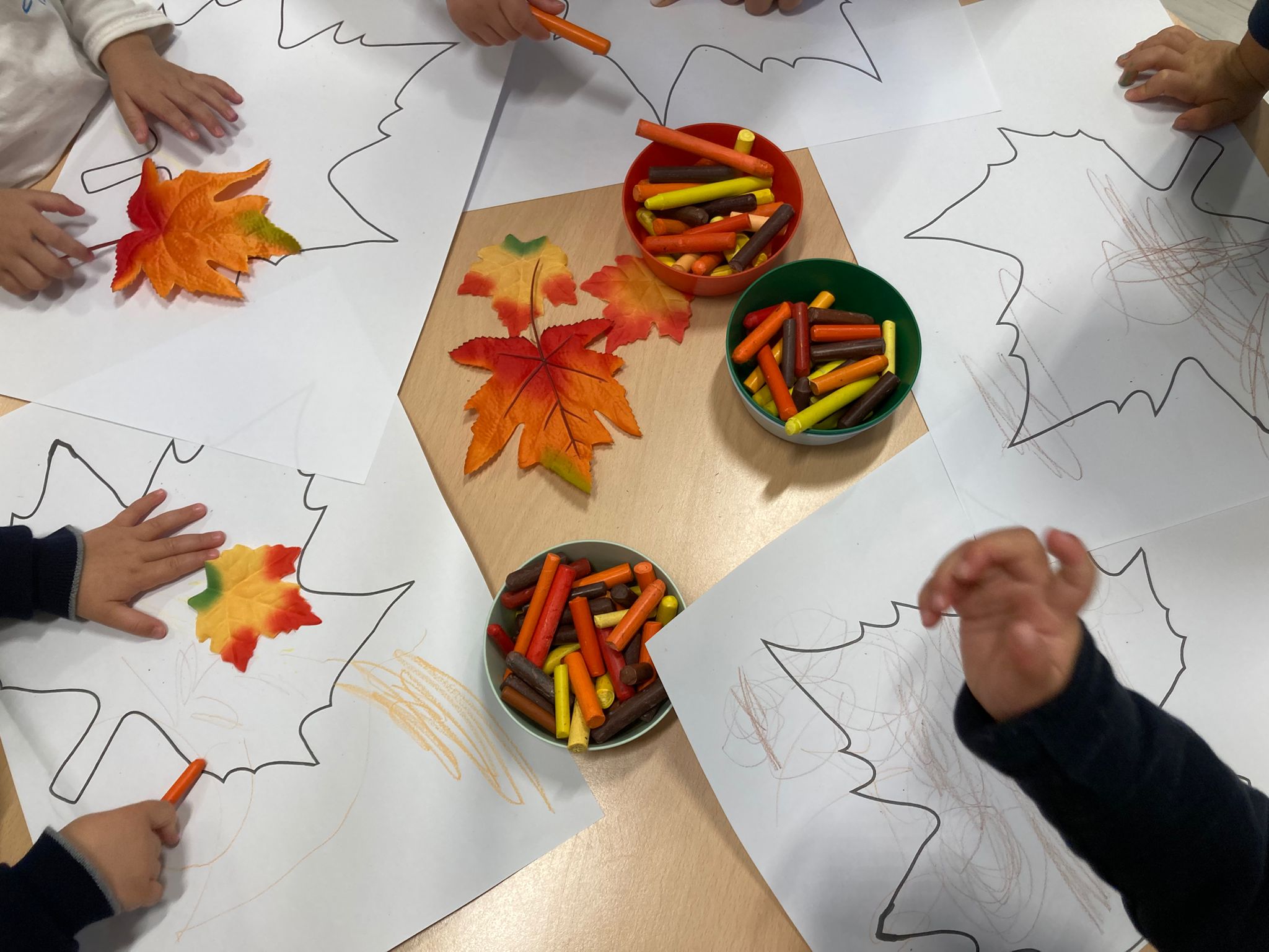 Autumn leaves are failling down